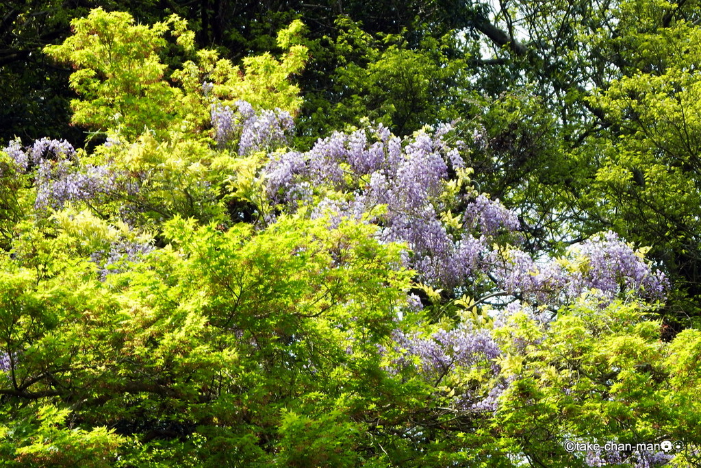 DSCF9157-001