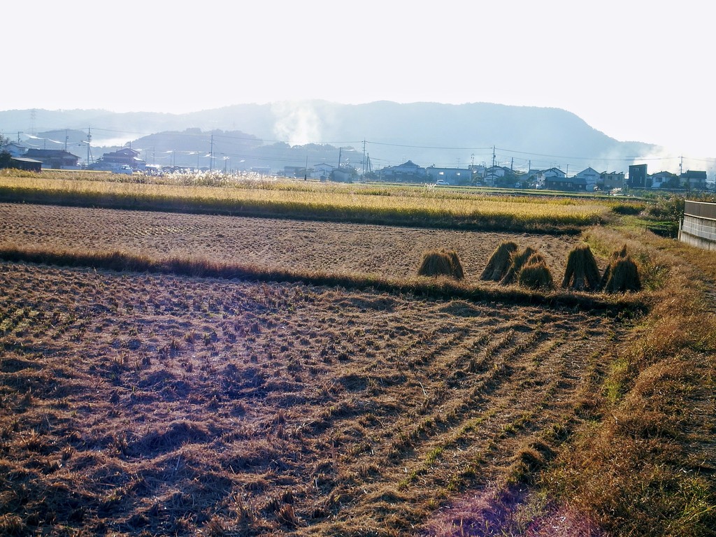 DSCF4413