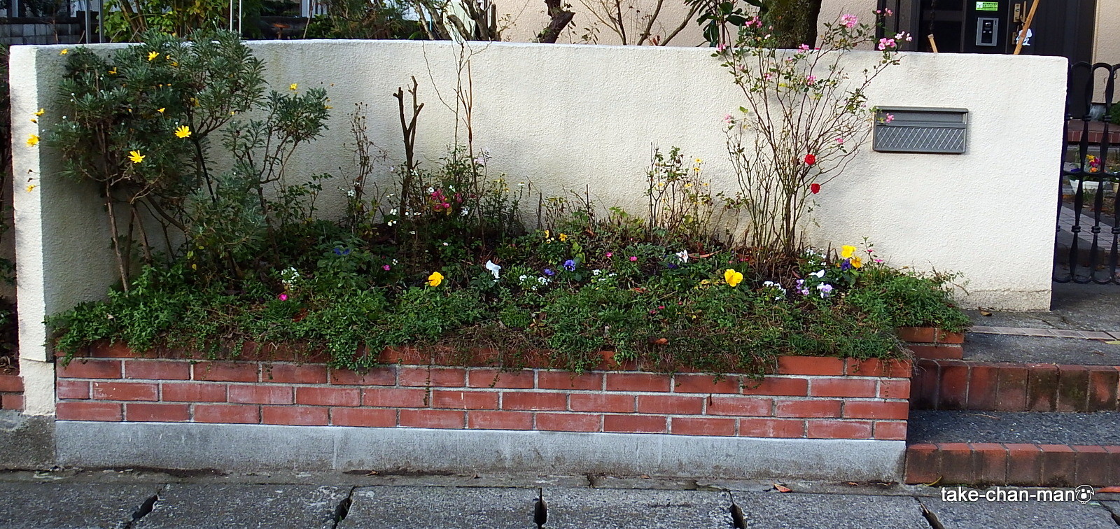 DSCF5144