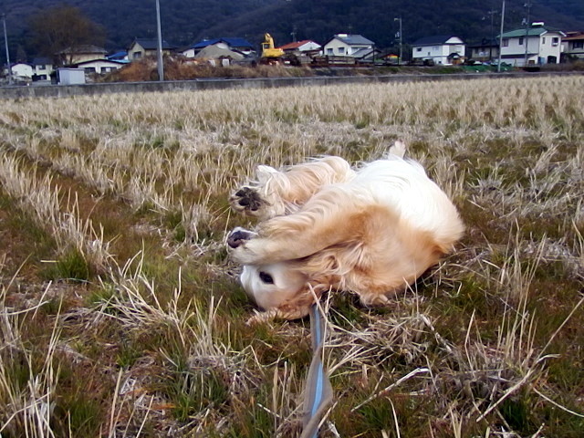DSCF8735