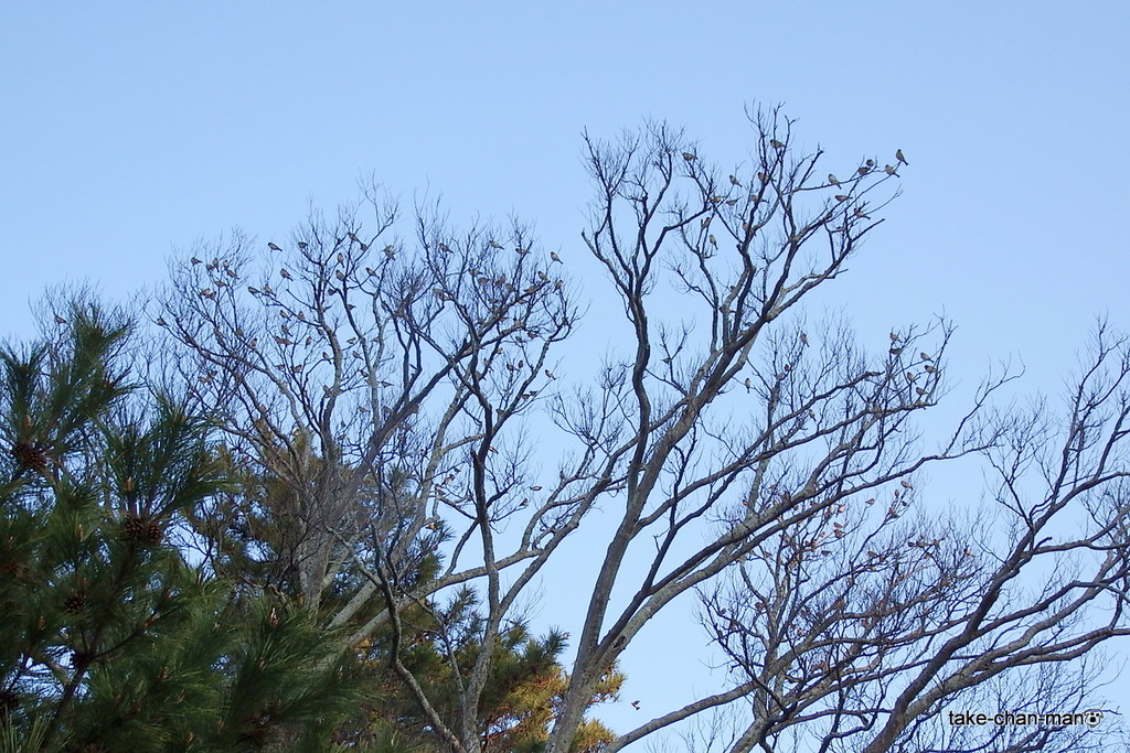 DSCF0467