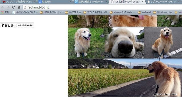 れお君ブログURL