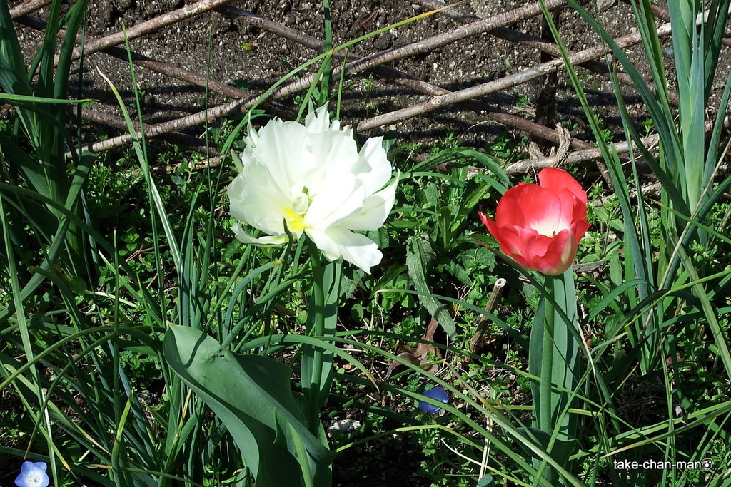 DSCF2965
