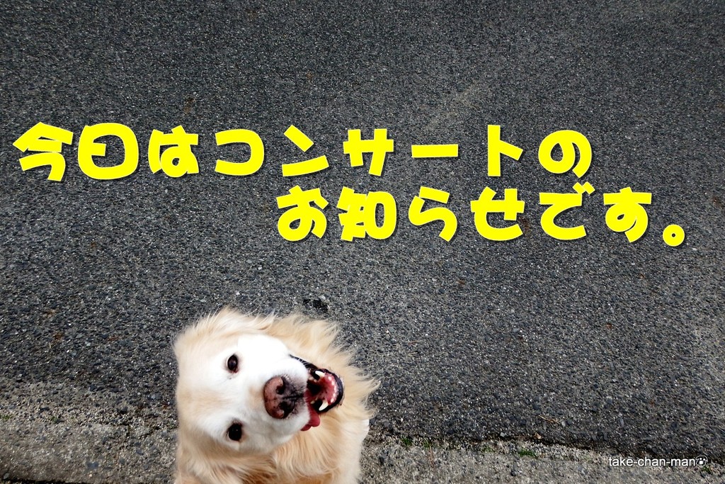 DSCF3350