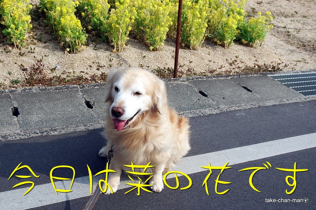 DSCF1220
