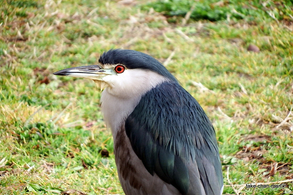 DSCF0323