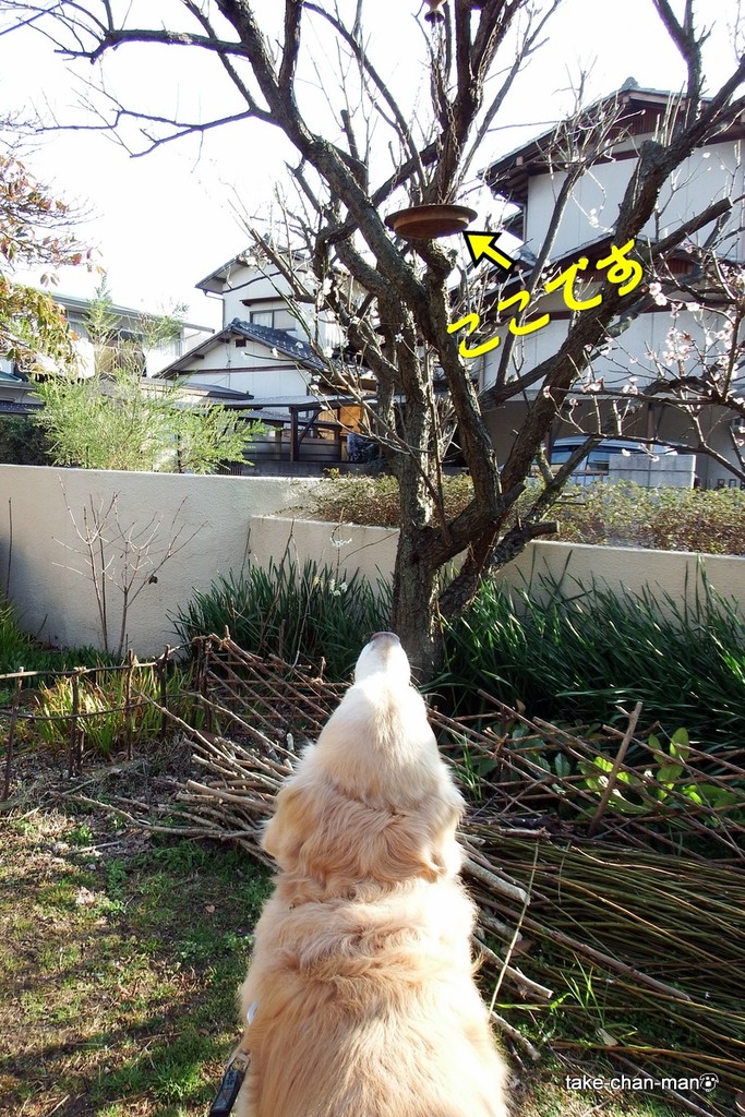 DSCF3067