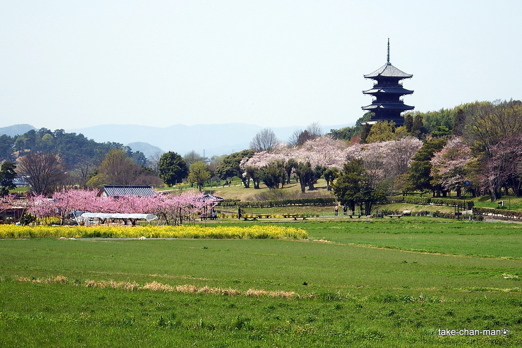 DSCF3112