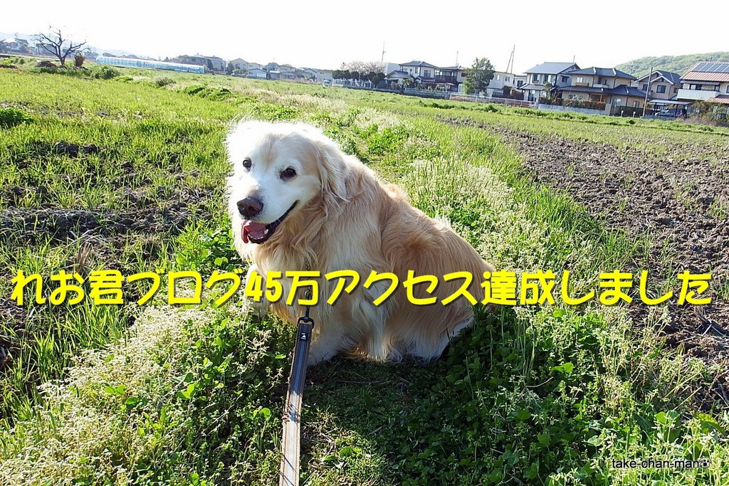 DSCF3187