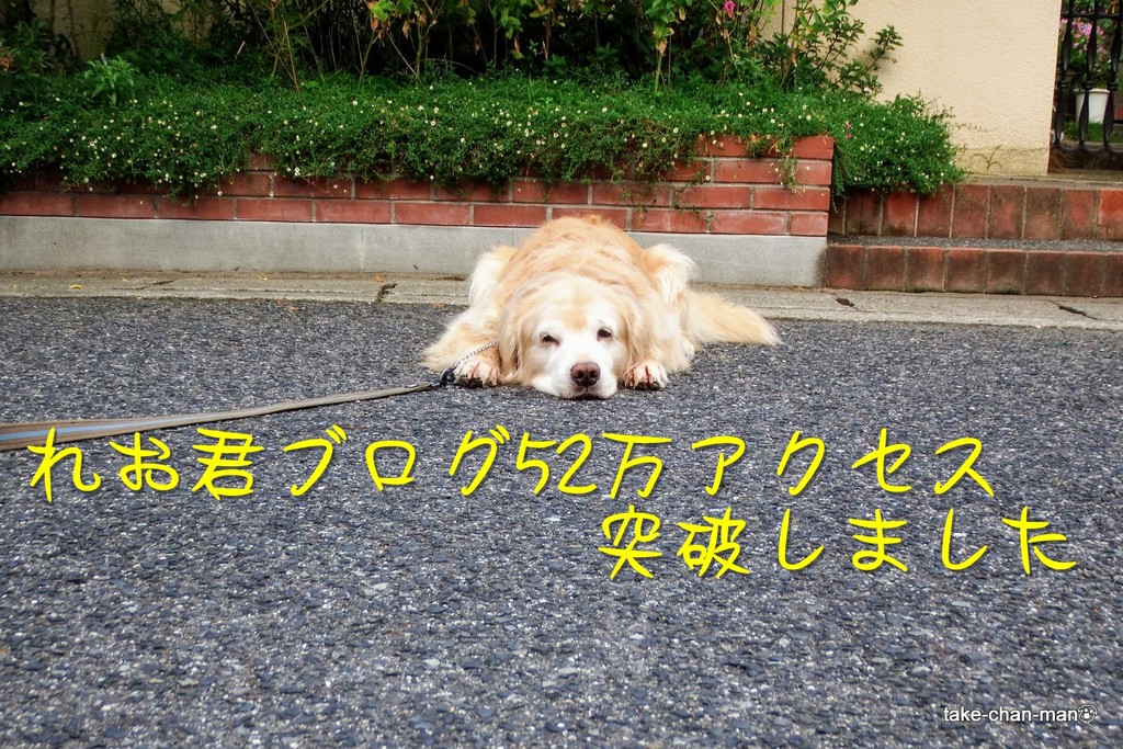 DSCF8852-001