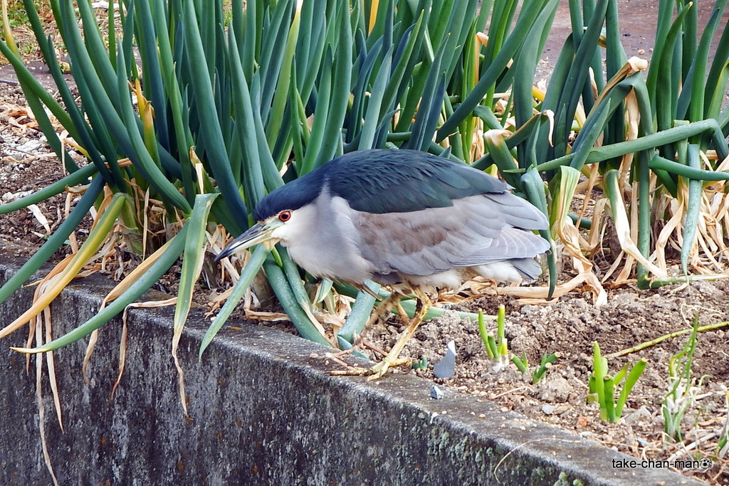 DSCF0335