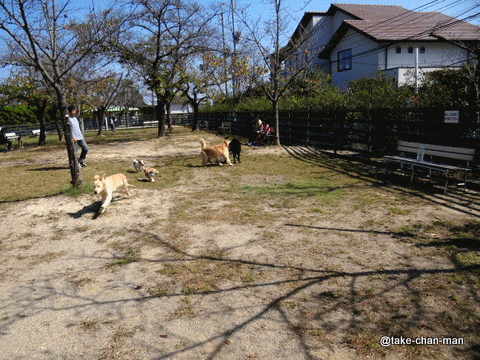 20131014バラ園7
