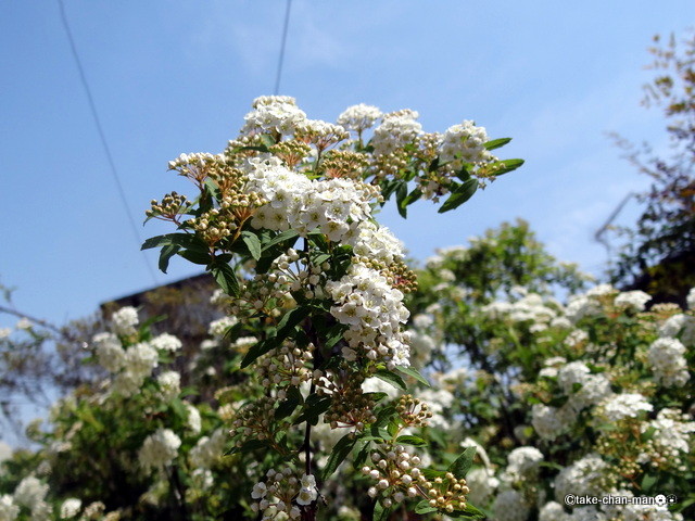 DSC01809