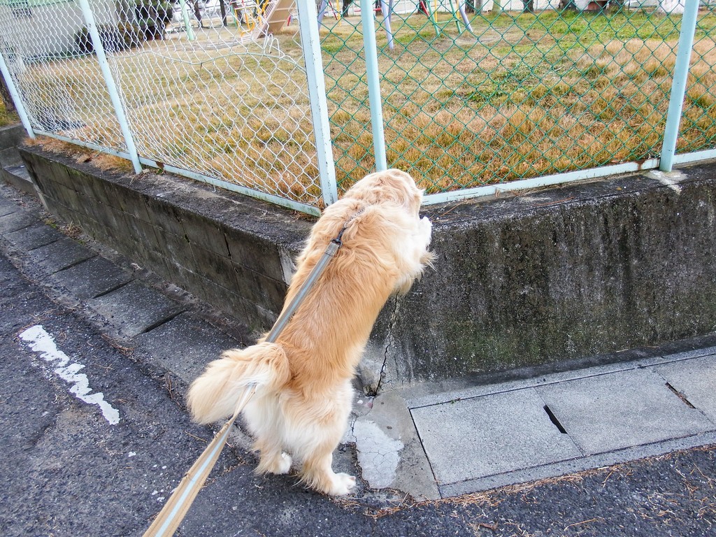 DSCF1319