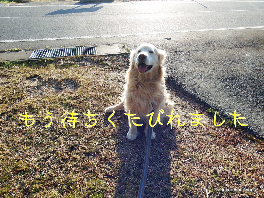 DSCF4680