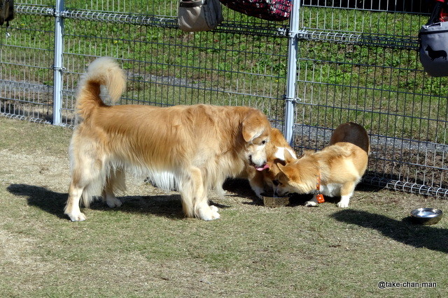 DSC04015