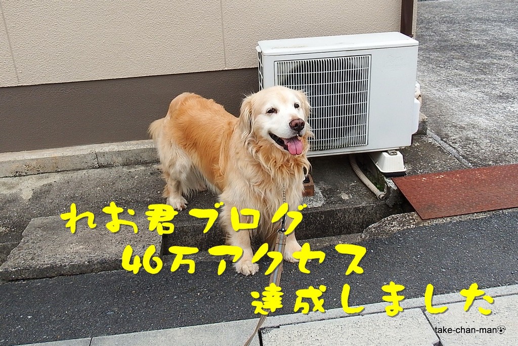 DSCF5109