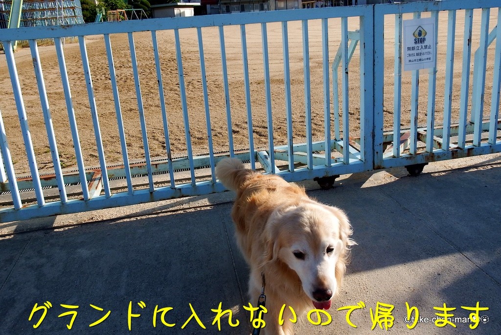 DSCF2519