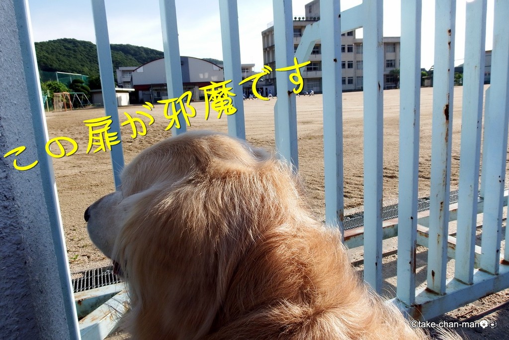 DSCF2521