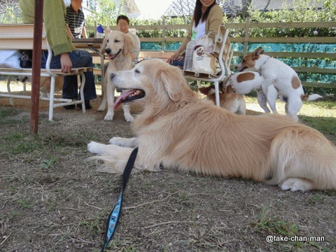 20131014バラ園6