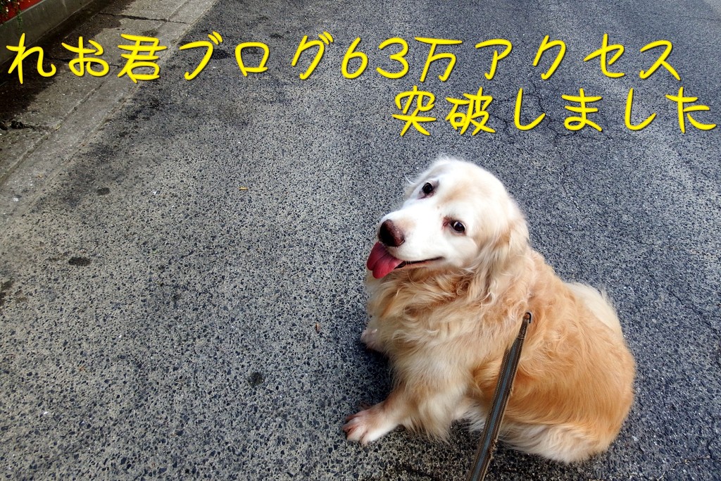 DSCF1691