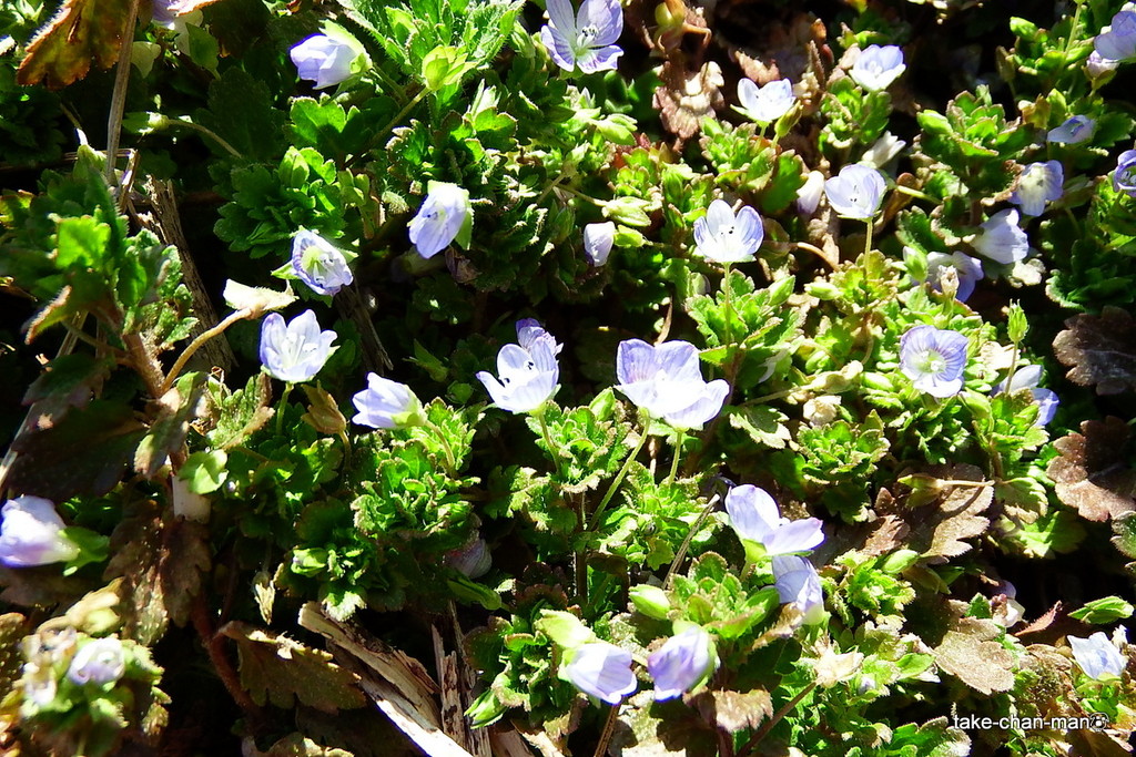 DSCF8952