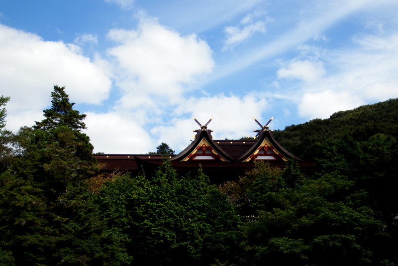 DSCF6847