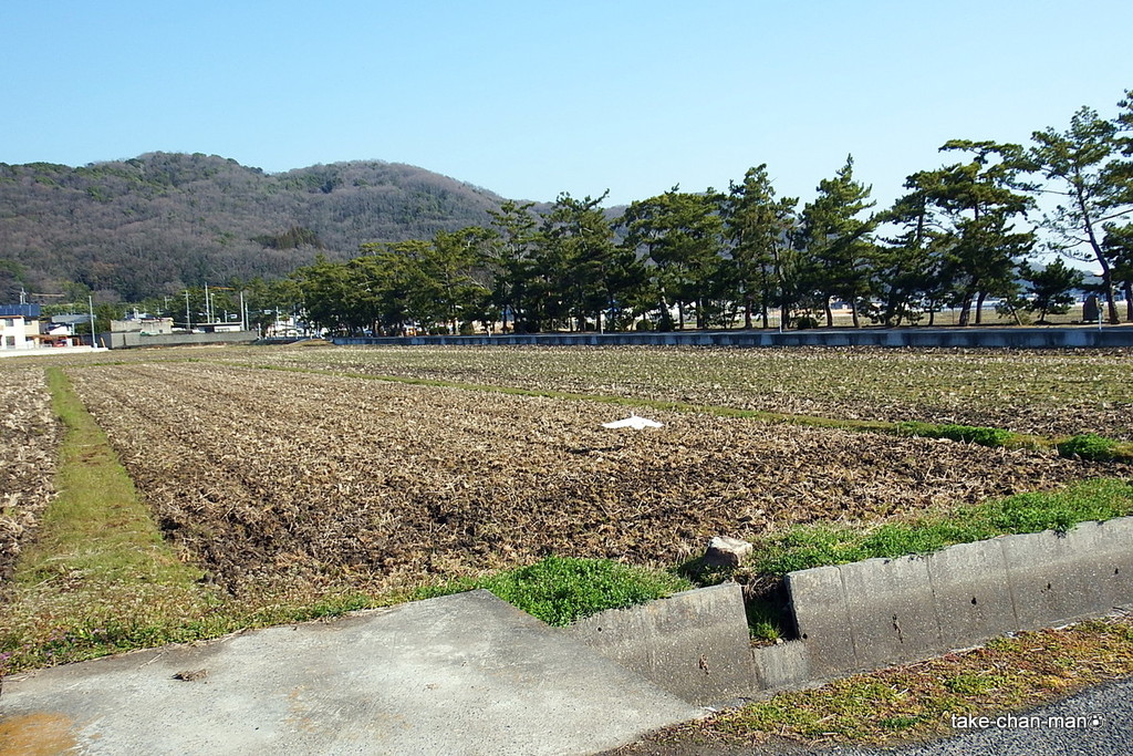 DSCF1295