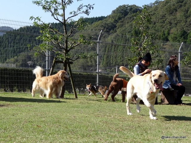 DSC03847