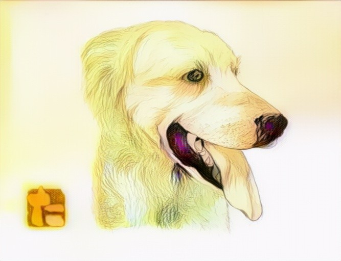 A6HYUQ2CUGDOFCLSYNYS1FIFJMN687LH_0 (3)