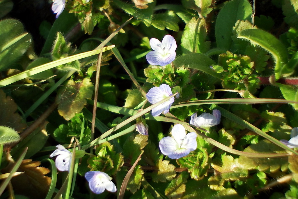 DSCF7587