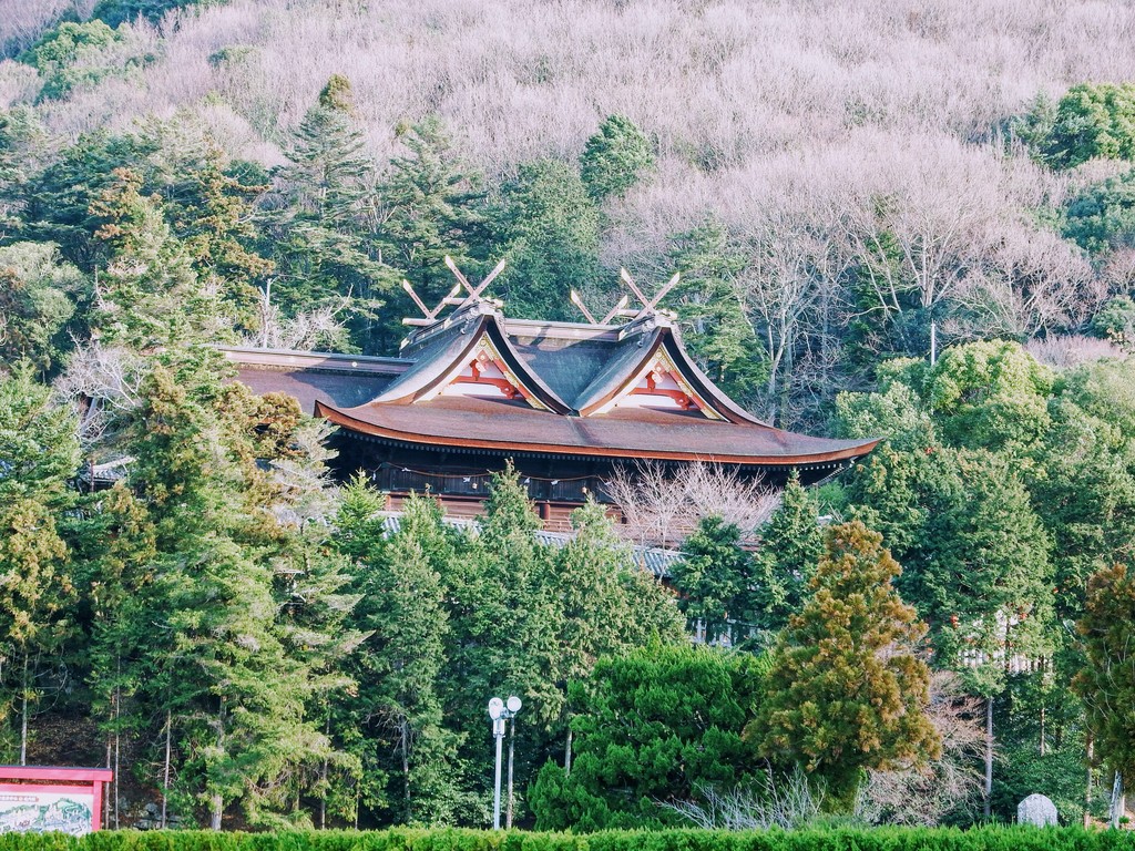 DSCF1994
