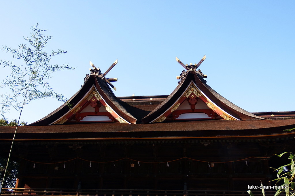 DSCF5536