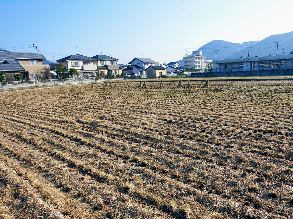 DSCF0155