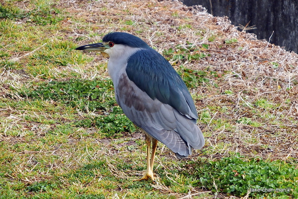 DSCF0328
