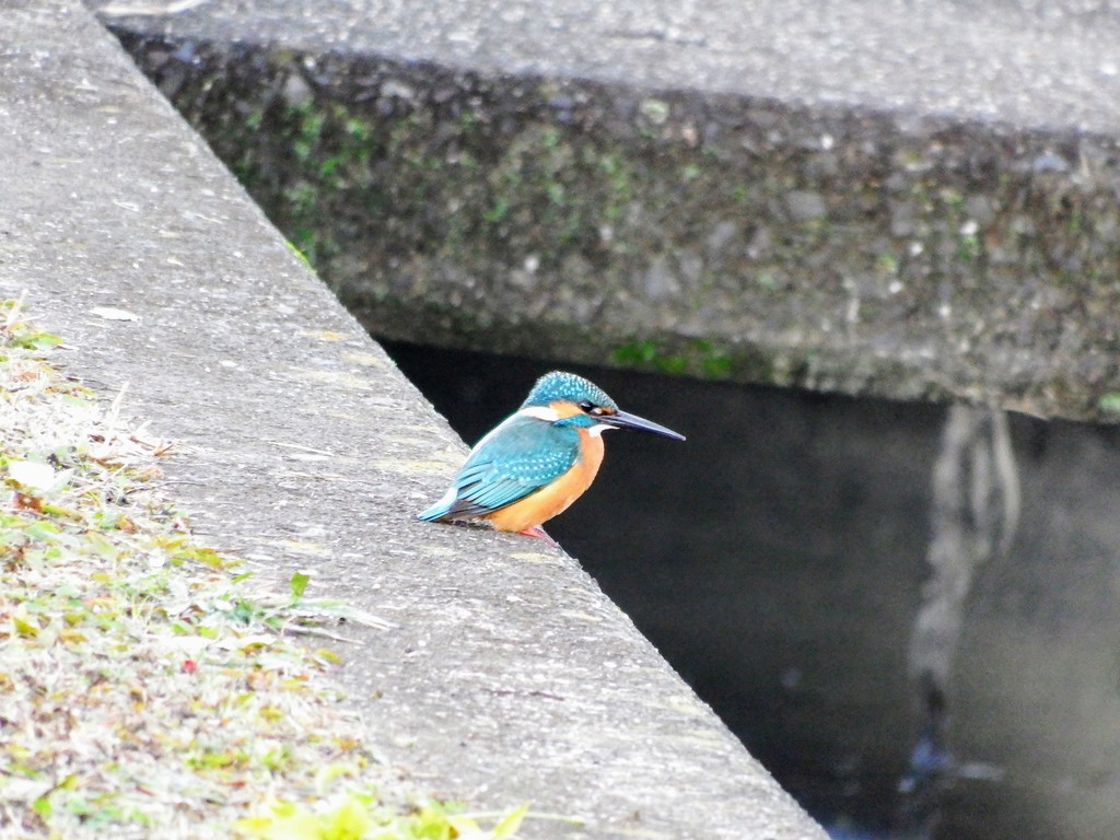 DSCF1041