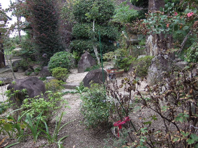実家の日本庭園3