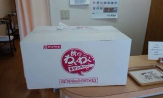 やまパン
