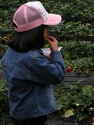 c8d564e1.jpg