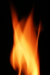 e516e16a.jpg