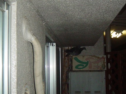 7d0486f7.jpg