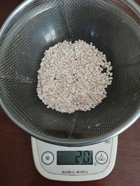麦