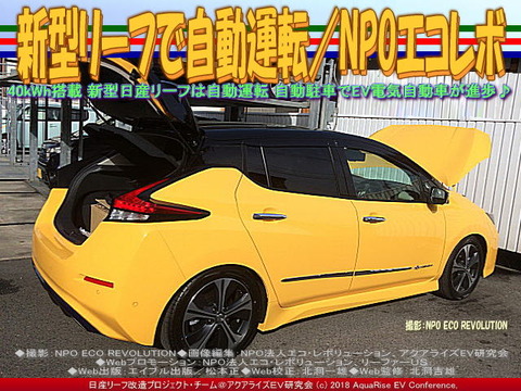 新型リーフで自動運転/NPOエコレボ画像