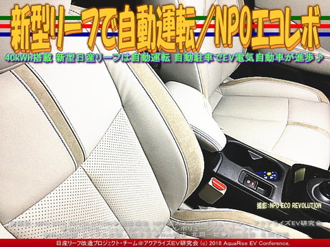 新型リーフで自動運転/NPOエコレボ画像
