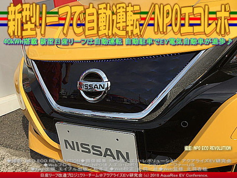 新型リーフで自動運転/NPOエコレボ画像