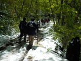 DSCN1789