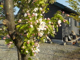 DSCN1714