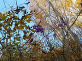 DSCN2114