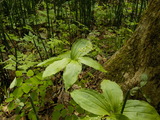 DSCN1746