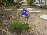 DSCN1756